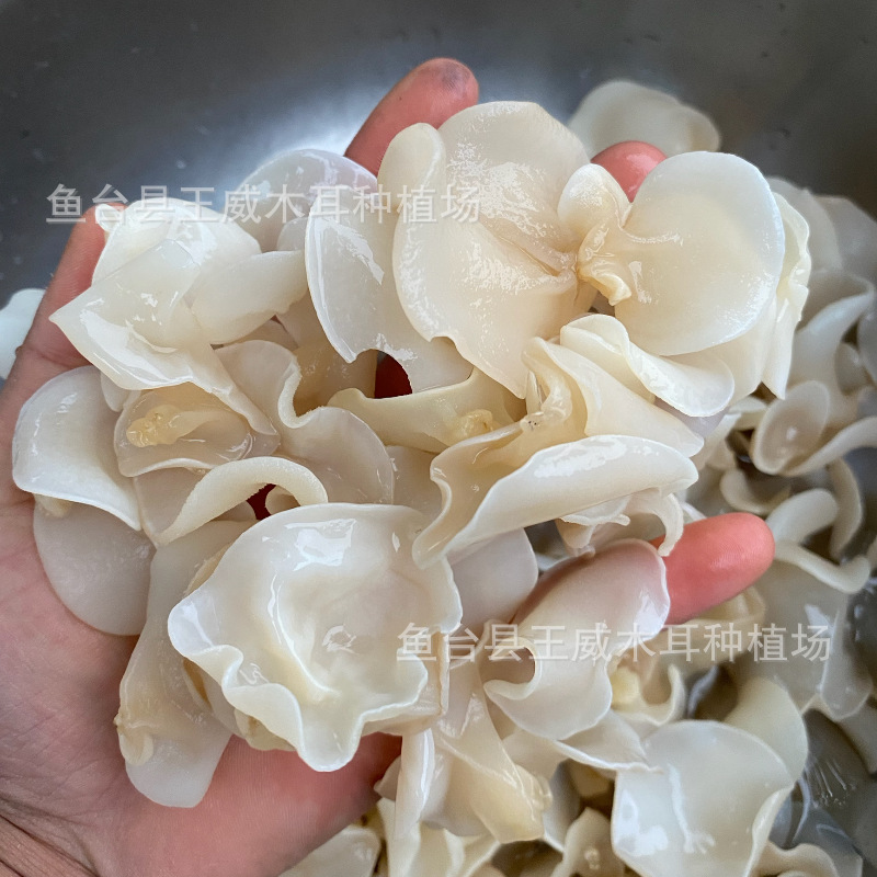 O1CN01vynQGv2EV68ayRerc_!!2214606218749-0-cib