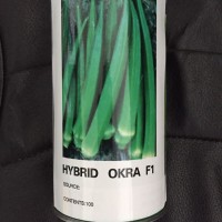 推薦-口感清爽適于鮮食黃秋葵-優(yōu)選進口引進細長型水果秋葵種子