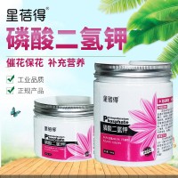 星蓓得磷酸二氫鉀花卉多肉磷鉀肥家用養(yǎng)花葉面肥催花?；ǚ?00克