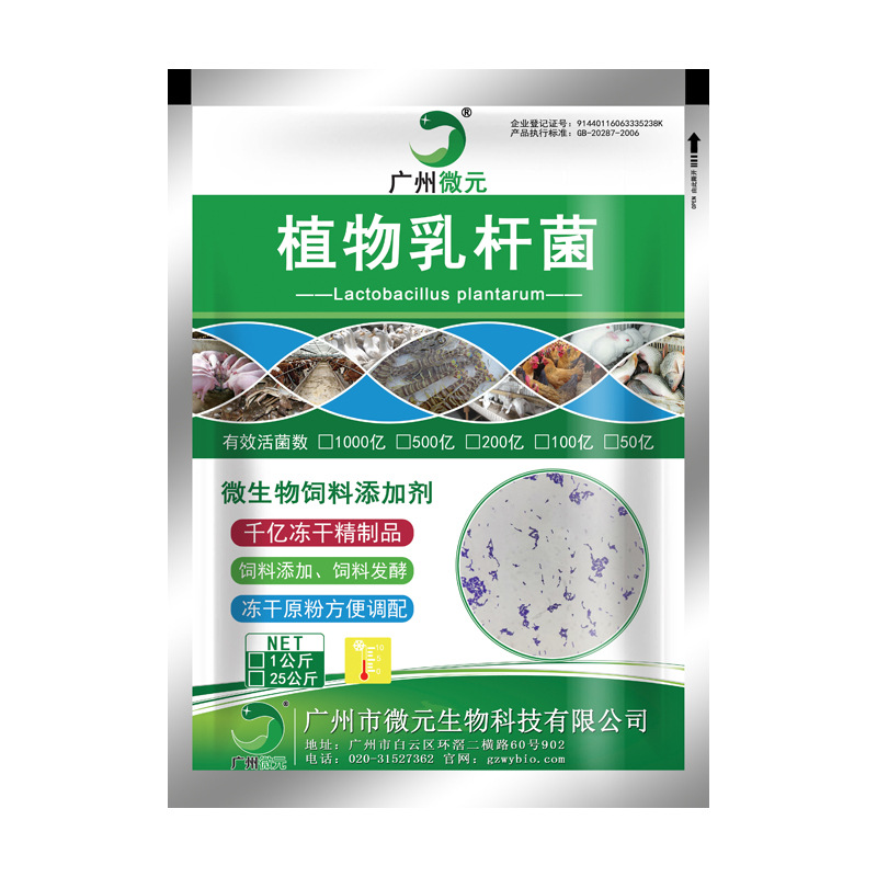 O1CN01GNYiMH1SsMQInGflo_!!1683362302-0-cib