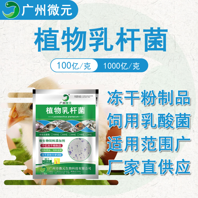 O1CN01cjriAd1SsMQInEG4N_!!1683362302-0-cib (1)