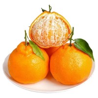 四川耙耙柑眉山春見耙耙柑應(yīng)季新鮮水果非丑橘蒲江粑粑柑丑八怪