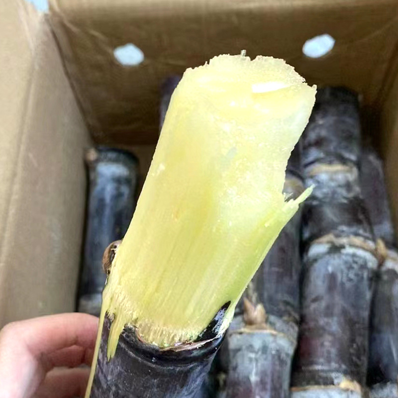 O1CN01HZ37ny1LSzTUWmb2z_!!2211002991299-0-cib