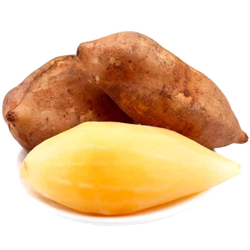 O1CN01O95fmv1LSzUIJaMdl_!!2211002991299-0-cib