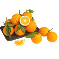 臍橙 新鮮橙子5斤水果當(dāng)季水果手剝橙子高山果甜橙大果臍橙整箱