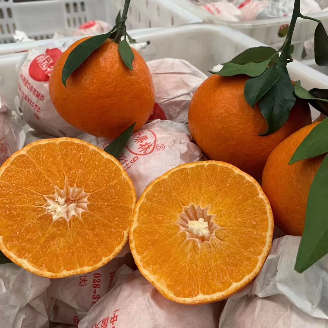 O1CN01iYDDUy2GDoBdocs8Z_!!2693248982-0-cib