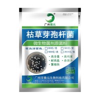 枯草芽孢桿菌1000億 水產(chǎn)養(yǎng)殖水質(zhì)凈化 微生物菌肥生物有機肥添加