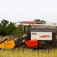 五豐 玉米小麥大豆艾草收割四輪拖拉機(jī)前置割臺(tái)收割機(jī)