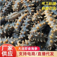 遼參廠家批發(fā)大連海參非干貨勁道口感鮮蒸即食500g遼刺參速食