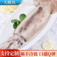 大魷魚鮮活冷凍超大魷魚整只去內(nèi)臟新鮮冷凍燒烤鐵板商用海鮮水產(chǎn)