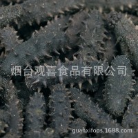 西海拉缸鹽海參頂火 大火候鹽漬海參腌漬海參批發(fā) 一手貨源