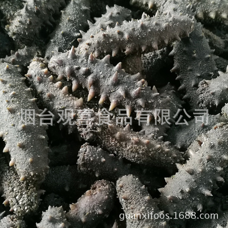 4158497094_1666948712