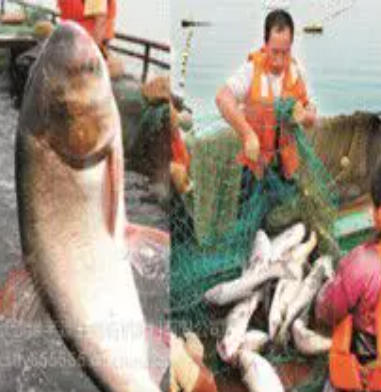 ScreenShot_2026-03-23_162144_541