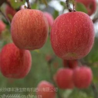 蘋果有機(jī)肥