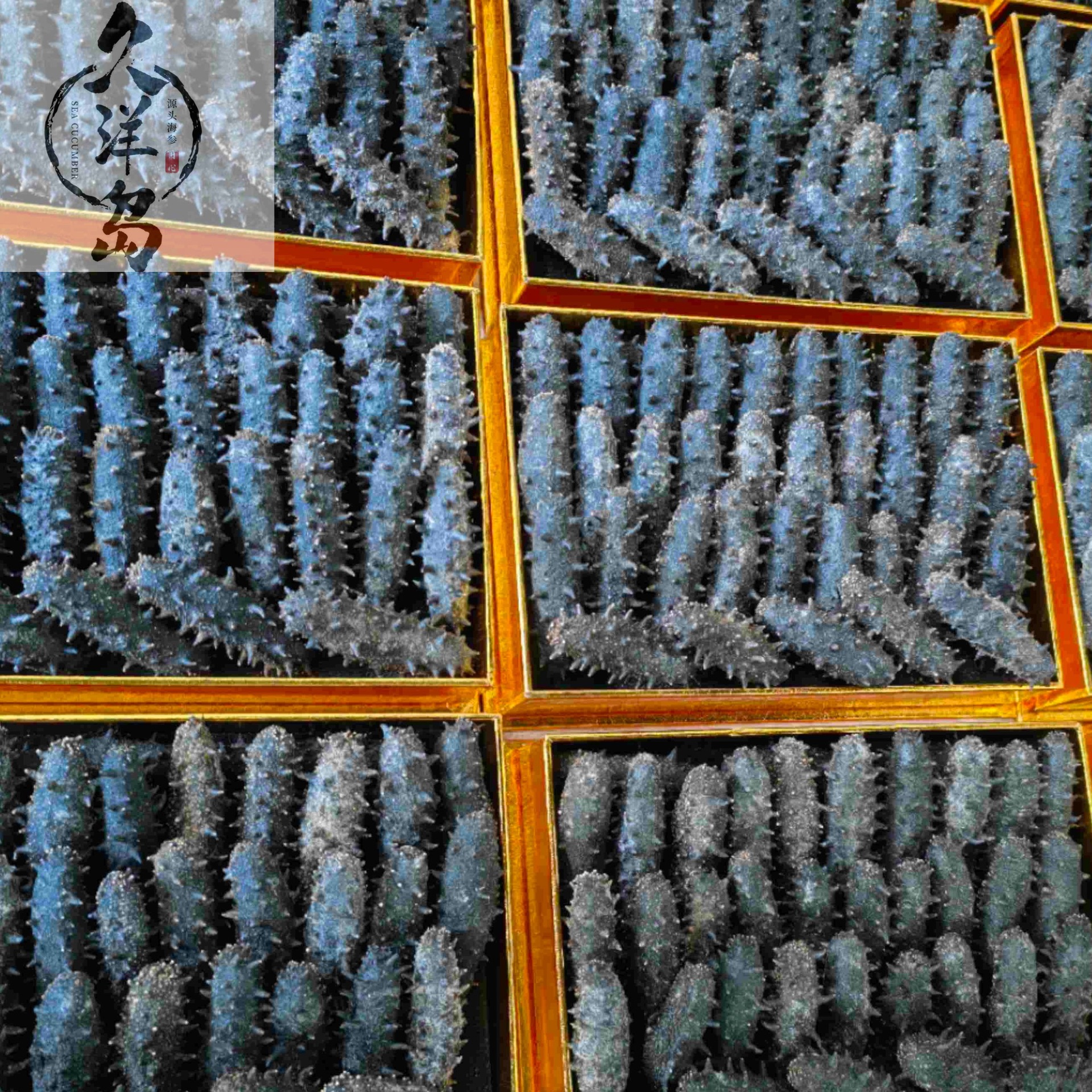 O1CN01XpJEeU1oU1HgegHw6_!!2215536345227-0-cib