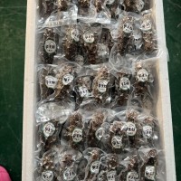 源頭工廠(chǎng)現(xiàn)貨批發(fā)口感Q彈鮮食海參鮮食刺參廠(chǎng)家代發(fā)即食海參500g