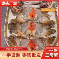 帶膏三目母蟹批發(fā) 鮮活速凍三點(diǎn)蟹冷凍梭子蟹膏蟹蟹肉煲新鮮海鮮