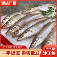 新鮮沙丁魚(yú)批發(fā)當(dāng)天深海捕撈冷凍沙尖魚(yú)魚(yú)干海鮮水產(chǎn)酒店餐飲供應(yīng)