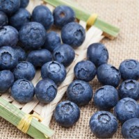 云南怡顆莓紅土藍(lán)莓L25脆甜玫瑰花香藍(lán)莓愛莓莊迷迭藍(lán)皇冠大藍(lán)莓