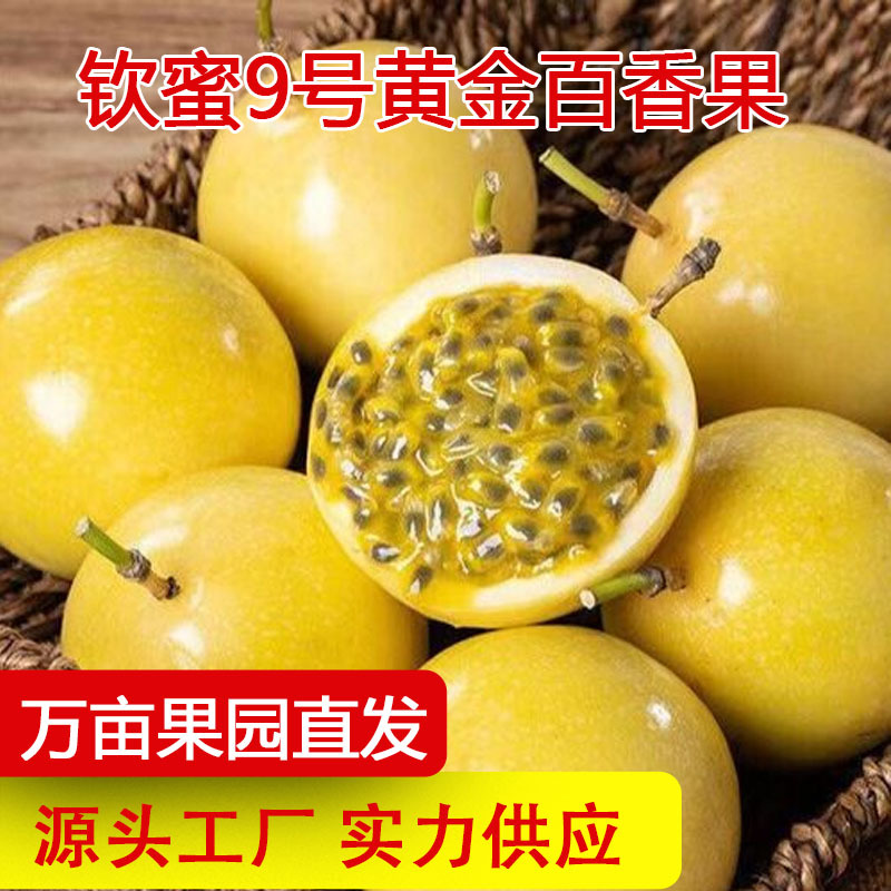 O1CN01VeQkrt1GzRNBTWlT5_!!2208516000693-0-cib