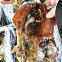 廠家批發(fā)血墨魚小魚干火鍋食材餐飲生鮮水產(chǎn)干貨海鮮血墨魚干貨