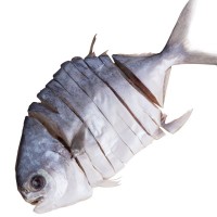 陽江湛江金鯧魚干淡曬金昌魚咸魚黃金倉魚海產(chǎn)品干貨農(nóng)家自制魚干