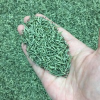 2026年新茶送禮云霧炒青散裝綠茶茶葉散批發(fā)信陽工藝御信尖毛尖茶