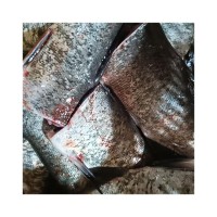 冰鮮魚花鰱魚下單即宰快速發(fā)貨冷鏈配送肉質(zhì)鮮美花鰱魚尾