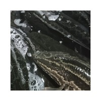 自產(chǎn)自銷生猛黑魚魚塘養(yǎng)殖烏魚速發(fā)商用餐飲肉質(zhì)緊實魚類食材