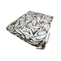 無籽多春魚冷凍燒烤商用冰鮮特大無冰衣無籽即食海鮮多春魚