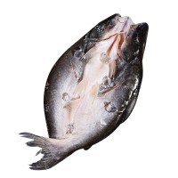 先上鮮開(kāi)背巴沙魚(yú)新鮮冷凍批發(fā)湄公魚(yú)烤魚(yú)半成品一整箱商用凌波魚(yú)