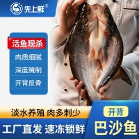 國(guó)產(chǎn)湄公魚(yú)腌制巴沙魚(yú)凌波魚(yú)烤魚(yú)半成品整箱批發(fā)新鮮冷凍半成品