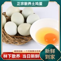 樅鄉情 農家散養烏雞蛋 新鮮土雞蛋柴雞蛋 小樅禮盒裝雞蛋