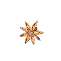 八角茴香調(diào)料2025年特級新貨無熏硫足干散裝廣西香料干貨大紅八角