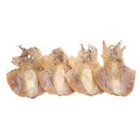 墨魚干大烏賊干貨淡干墨魚干水產(chǎn)干貨目魚干海鮮煲湯水產(chǎn)廠家供應(yīng)