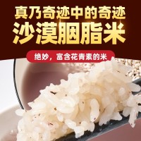 新疆察布查爾沙漠胭脂米 綠色種植大米天山雪水灌溉 代發(fā)新疆大米